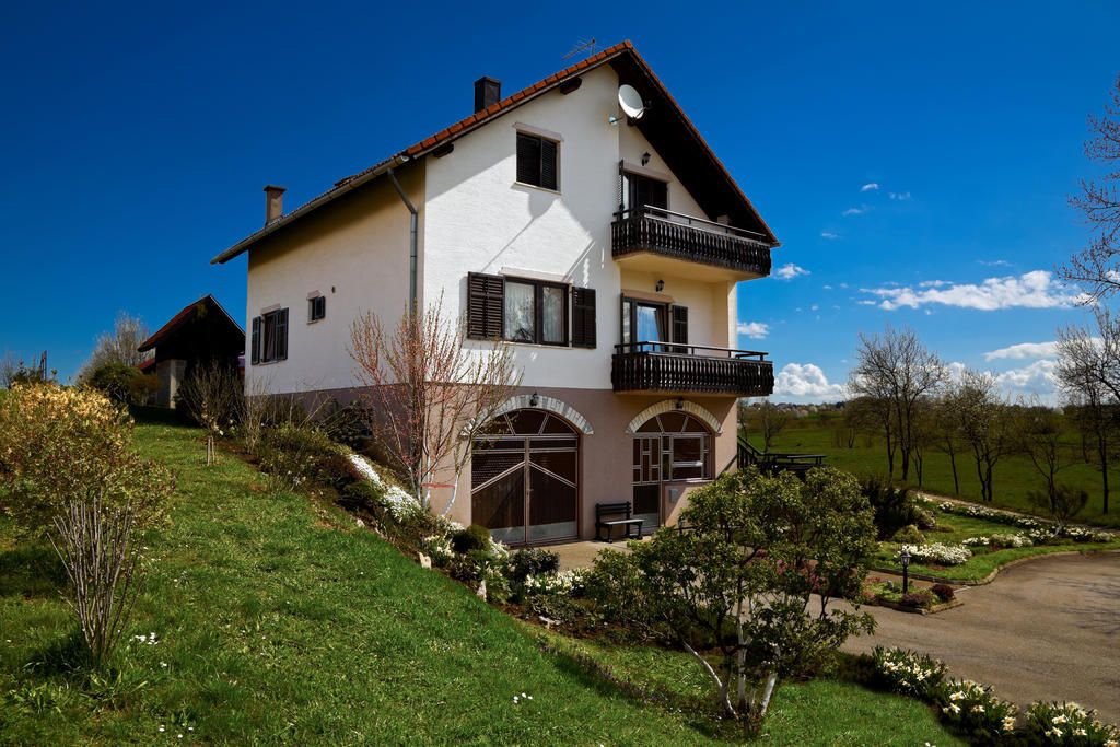 Apartments Tratincica Селище Дрежницько Екстер'єр фото